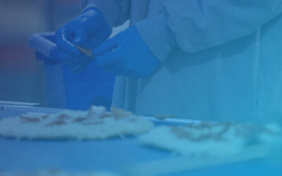 Food Safety | November 2025